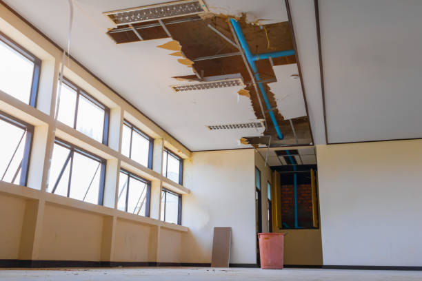 Best 24/7 water damage repair  in Westphalia, MD