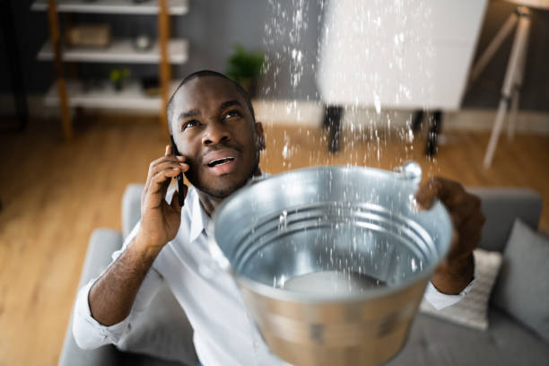 Best Water damage cleanup near me  in Westphalia, MD