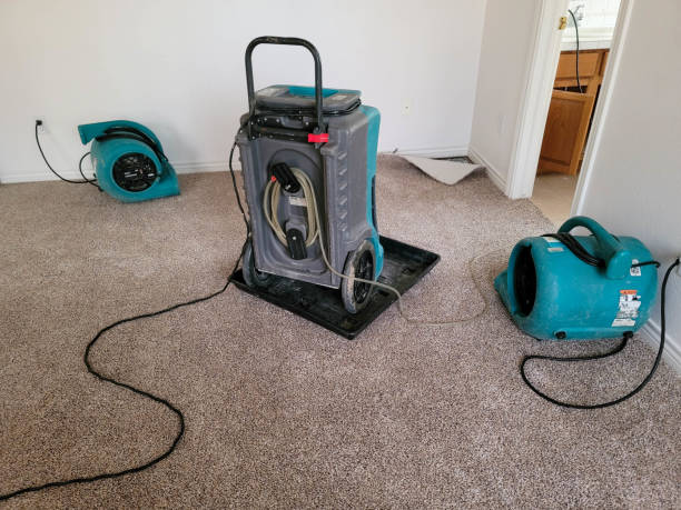 Best Flood damage cleanup  in Westphalia, MD