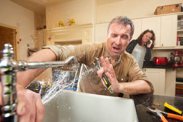 Best Basement water damage restoration  in Westphalia, MD
